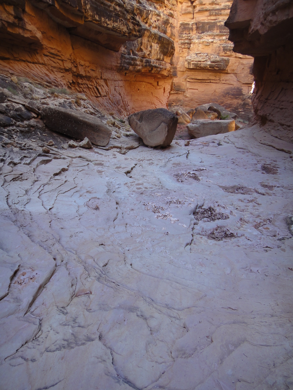 North Fork 3 - Jackass Creek