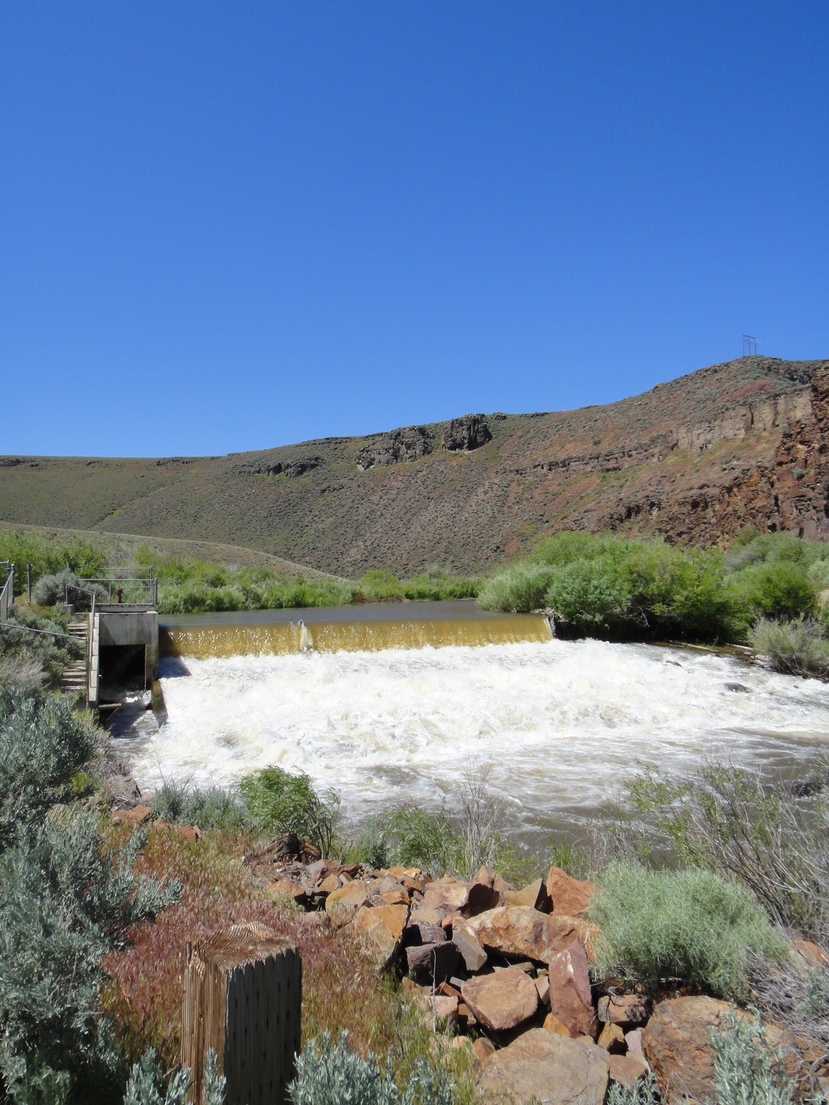 Diversion Dam - Salmon Falls Creek