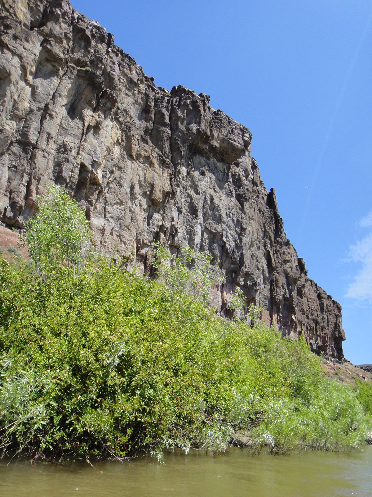 Above Cottonwood Creek - Salmon Falls Creek
