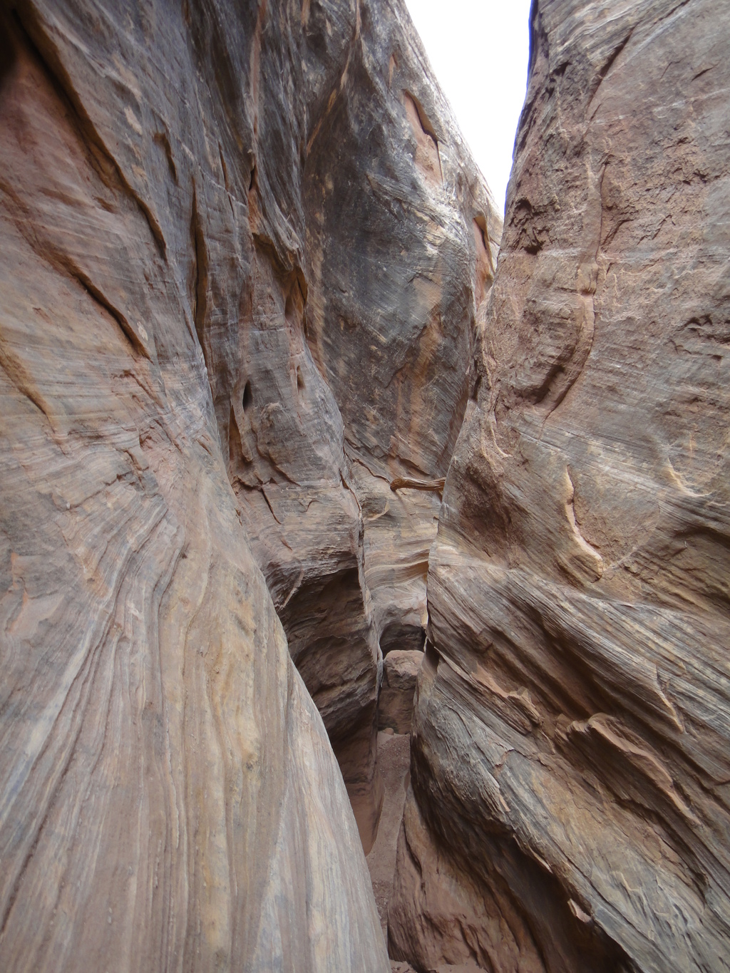 Narrows in Duckett Canyon