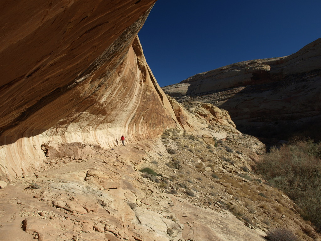 Ruin in Lower Butler Wash - near the River Petroglyph Panel