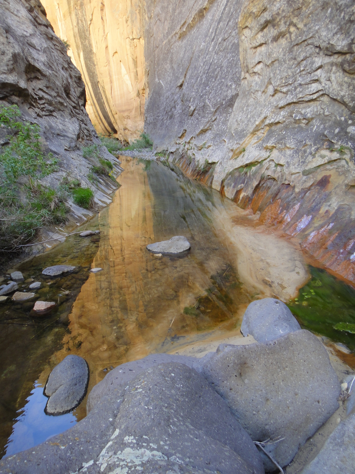 Reflection - Death Hollow - Escalante