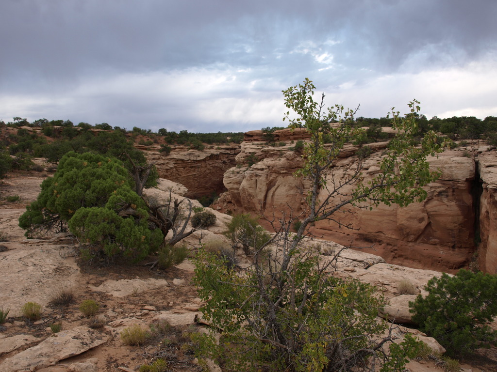 Storm moving over Granary Canyon Moab