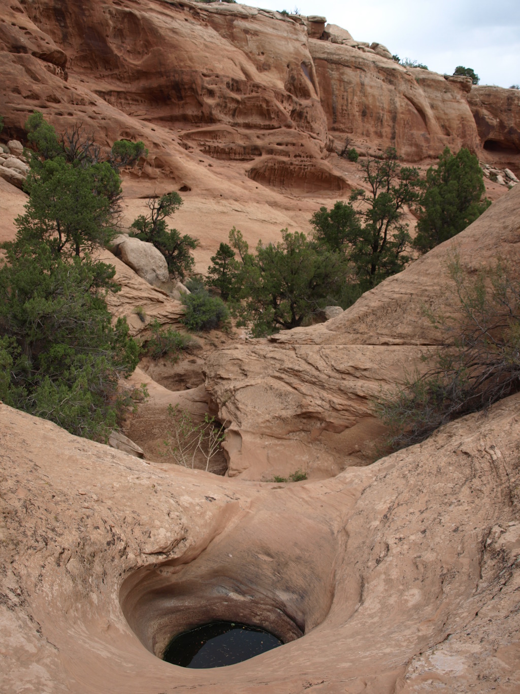 Scenery in Granary Canyon near Moab
