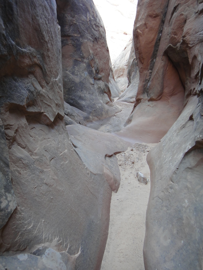 Typical Scene - Adobe Swale - Poison Spring