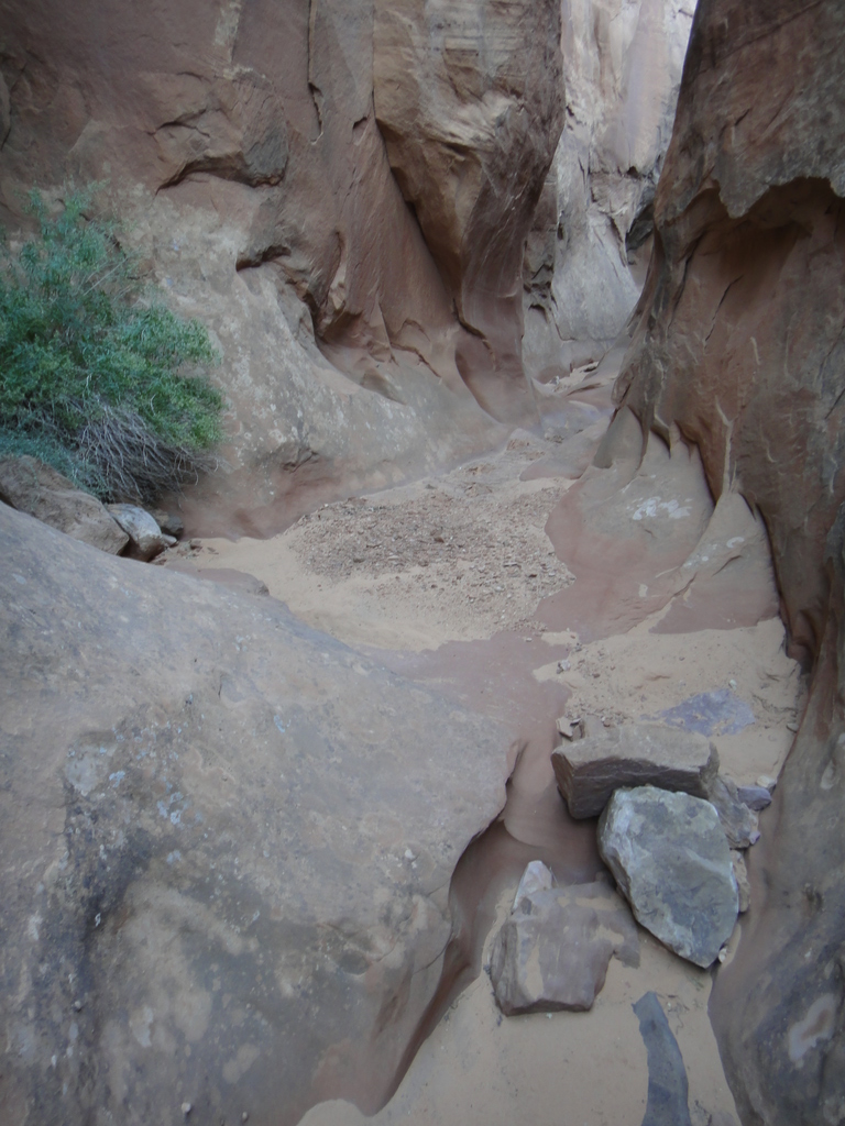 Adobe Swale - Poison Spring