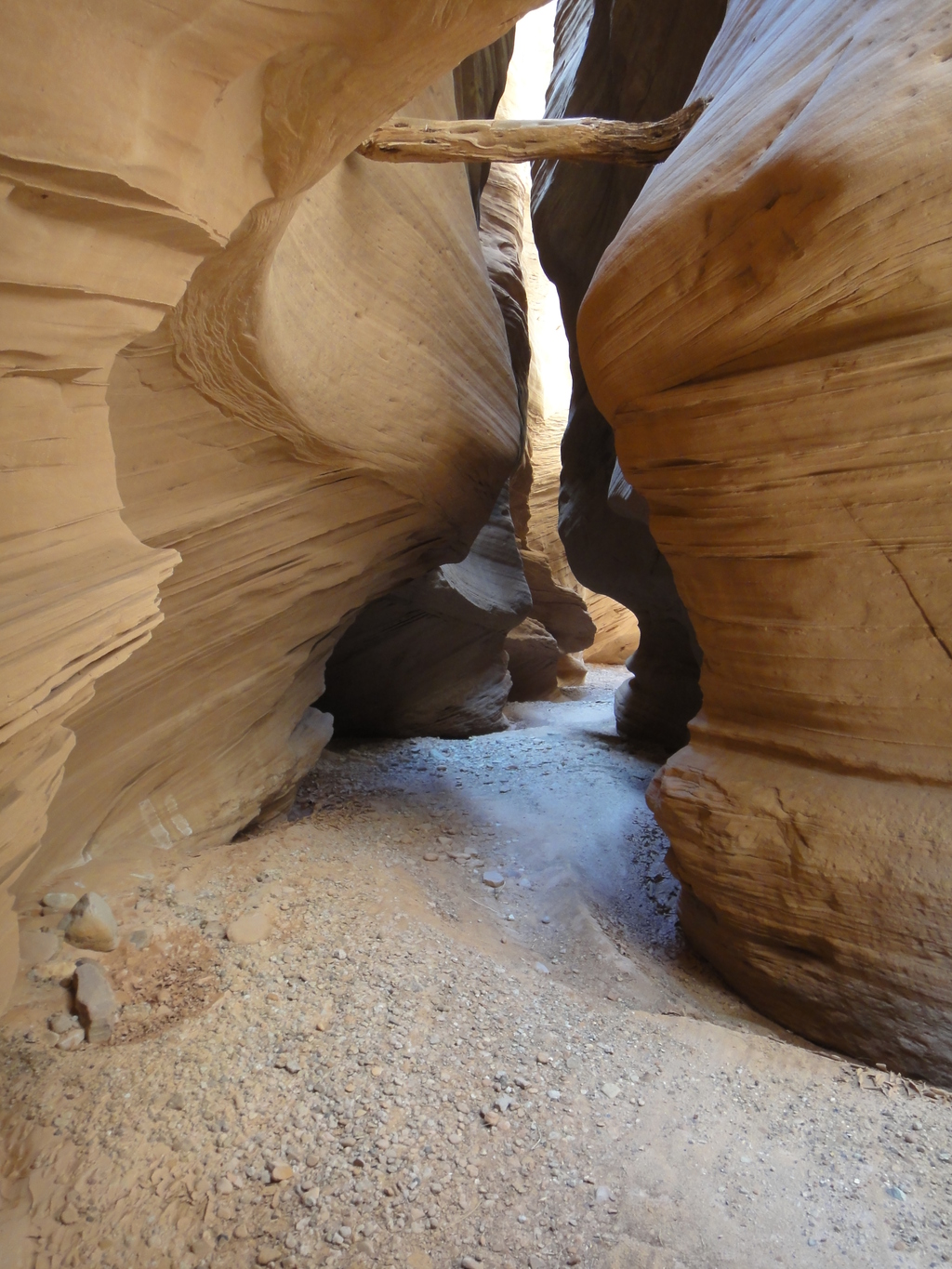 The Amazing Happy Canyon