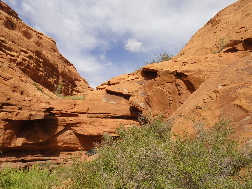Merry Piglet Dryfall to climb around