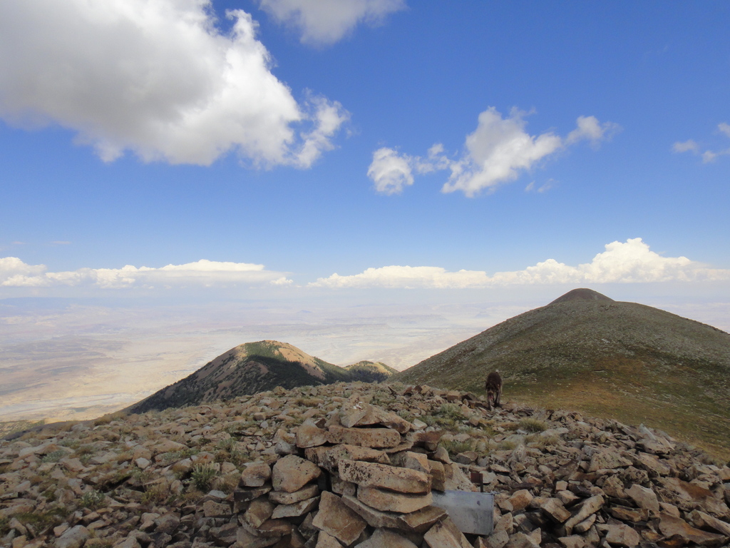 Summit of Mt Ellen along the ridge