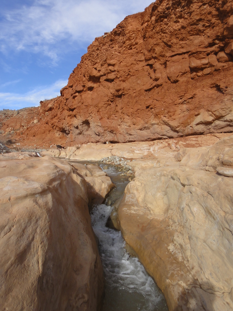 More Fantastic Colors - Trachyte