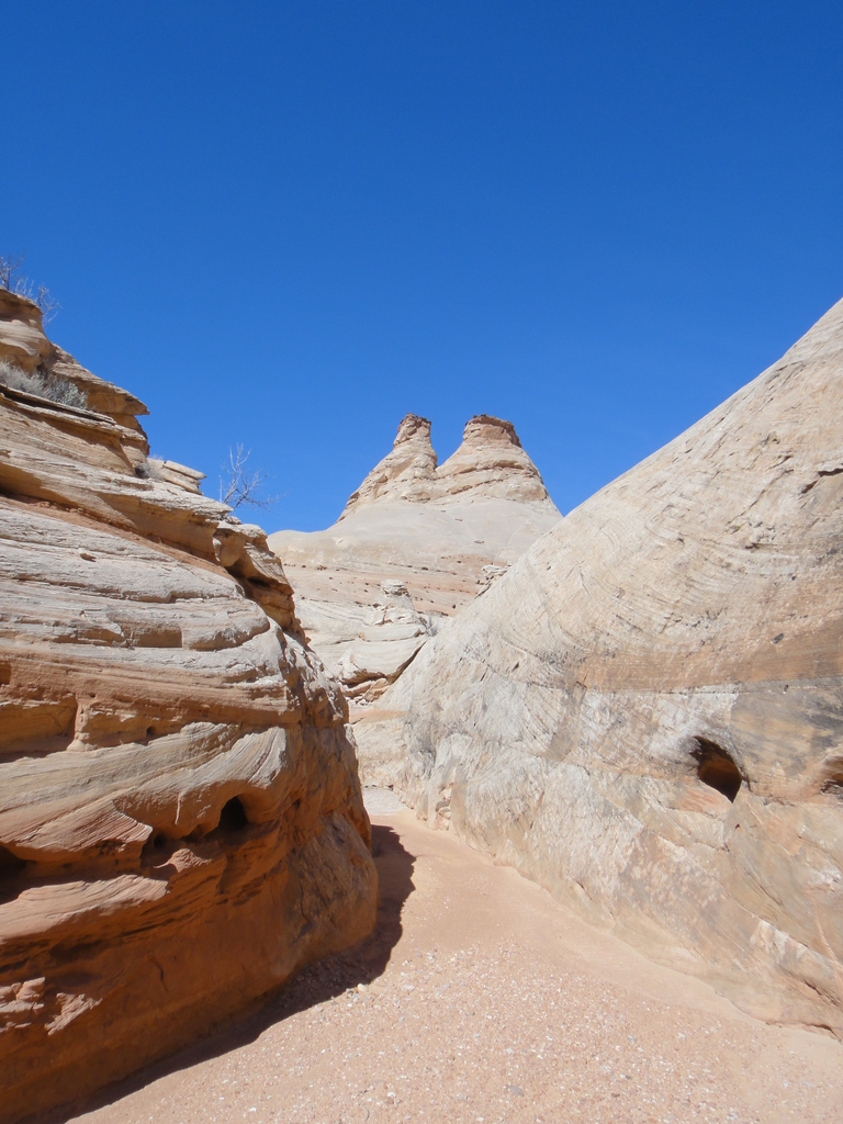 Junction  - Water Canyon