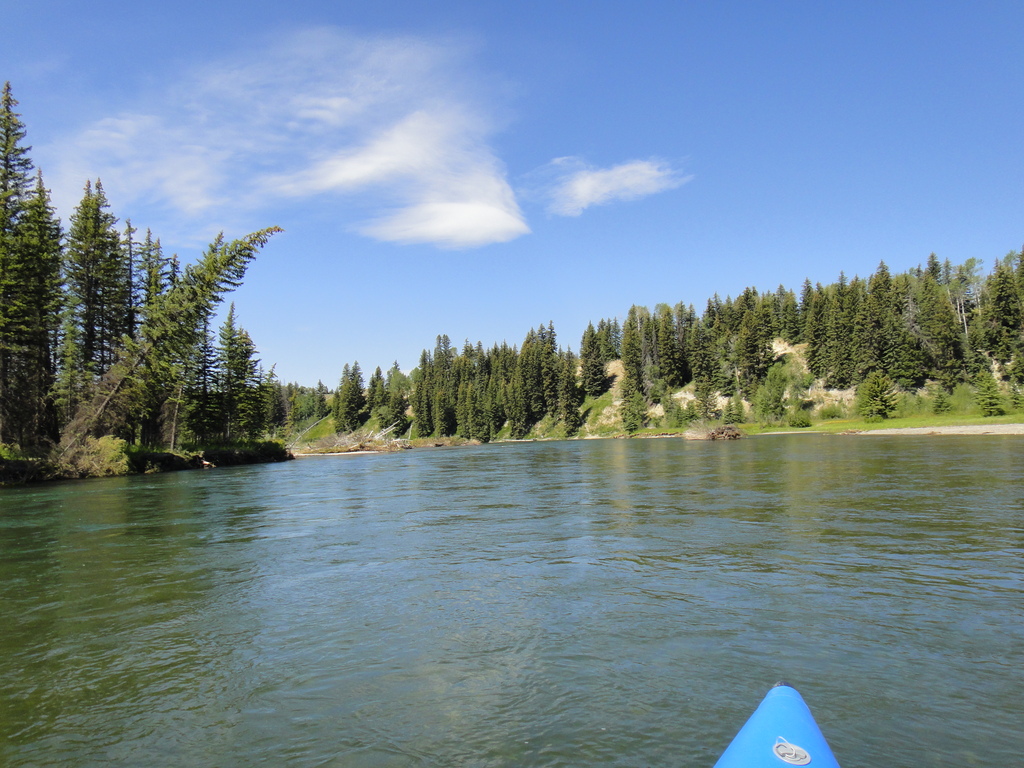 Typical Scenary - Snake River - Grand Teton National Park